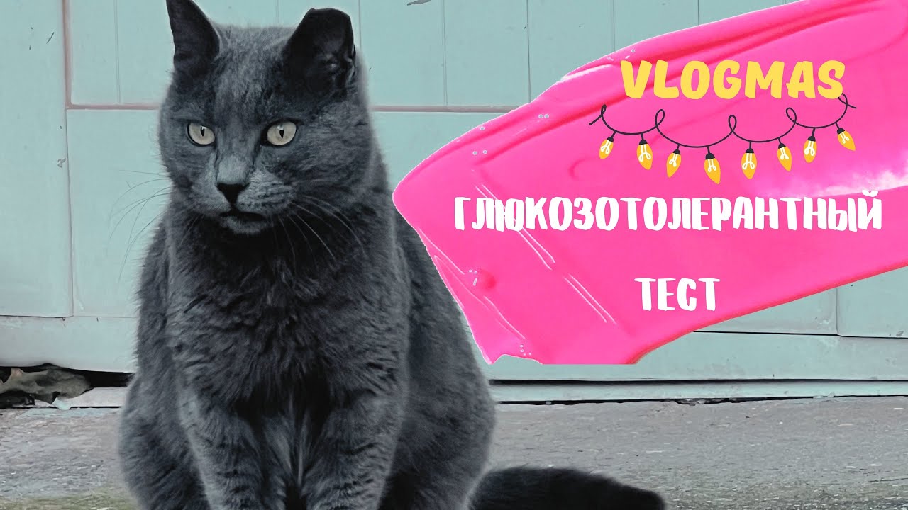 VLOGMAS🎄подарок от логопеда🤩 плохая примета ? 🧐 глюкозотолерантный тест ...