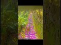 Eeyus Super Slowed ReverbЁЯШНЁЯШН Eeyus Super Slowed ReverbЁЯШНЁЯШН