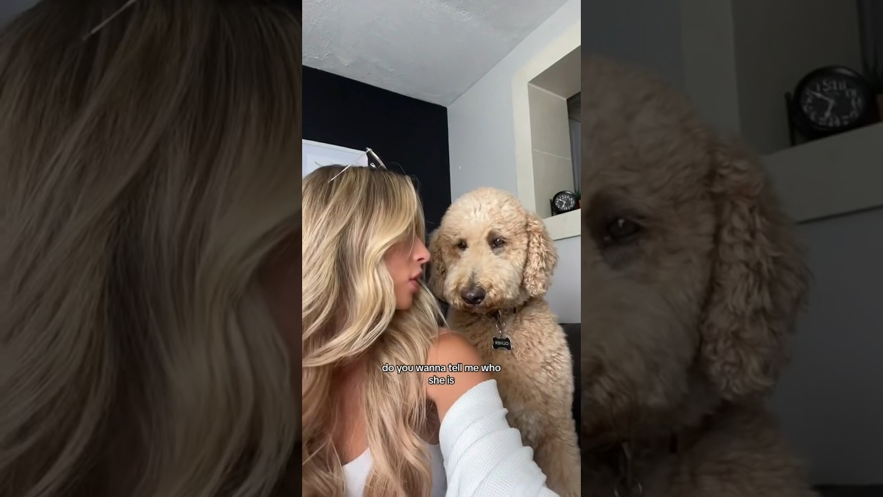 Ищем терапевтов, пока мы говорим 