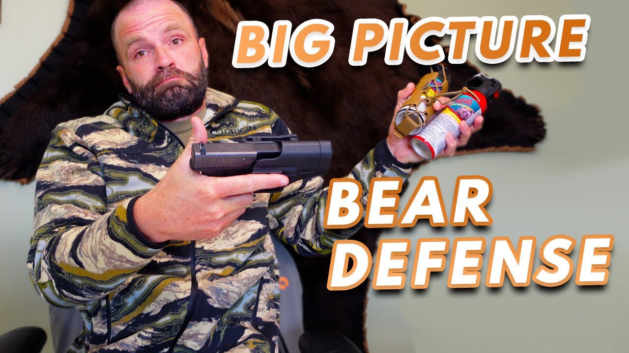 BEAR DEFENSE A Bear Hunting Guide's Perspective YouTube