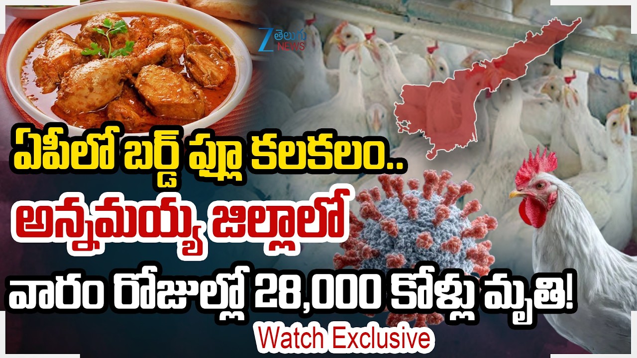 AP's Annamayya, Chittoor Districts on Alert as Lab Report Confirms Bird Flu |  Zee Telugu News