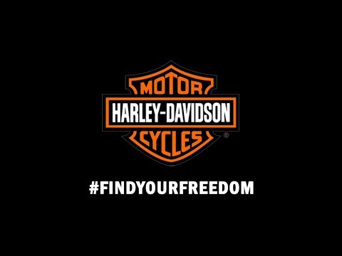 find your freedom internship find your freedom internship