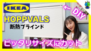 【DIY】IKEAのブラインド(HOPPVALS ホップヴァルス)をピッタリサイズに改造してみた【ももかチャンネル】