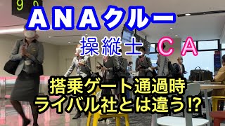 ＡＮＡの対応は！？ ライバル社との違いは！？　CA、機長 ANAクルーが羽田・伊丹での搭乗ゲートを通過する時の様子