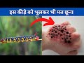 5 things that are forbidden to touch || 5 ऐसी चीजे जिन्हे छूना भी मना है