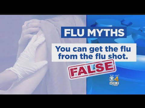 Top Flu Vaccine
