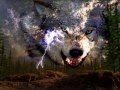 Calling for Wolves spirit