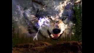 Calling for Wolves spirit