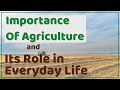 Why is agriculture important  importance of agriculture and  its role in everyday life