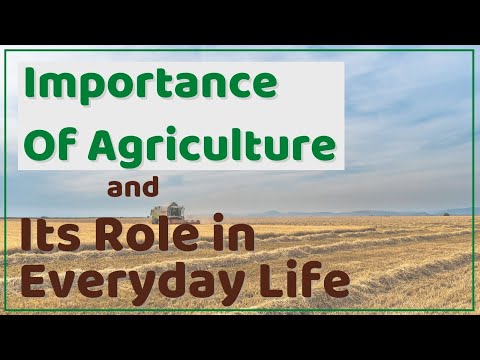 Why is Agriculture Important ? Importance Of Agriculture and  its Role in Everyday Life