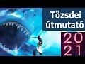 2021 tőzsdei útmutató - egyösszegű vs. folyamatos befektetés