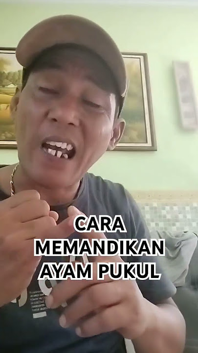 Cara Memandikan Ayam Pukul #ayampukul #memandikan #perawatanayam #karpetmerahlumajang