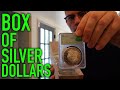 We Were SENT A BOX of RARE SILVER DOLLARS!
