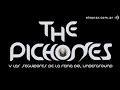 The PiCHoNeS