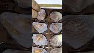 Sea Shell Chocolates