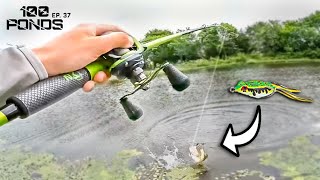 Hooking A Topwater GIANT On My FIRST CAST (100 Ponds Ep. 37) by TylersReelFishing 14,261 views 2 weeks ago 18 minutes