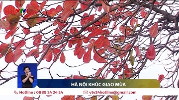 Khúc giao mùa sôi động của Hà Nội | VTV24