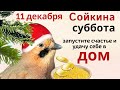 Покормите сегодня птиц на удачу и достаток. А за завтраком на хлеб скажите...