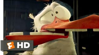 Storks (2016) - Birds Can't See Glass Scene (7\/10) | Movieclips