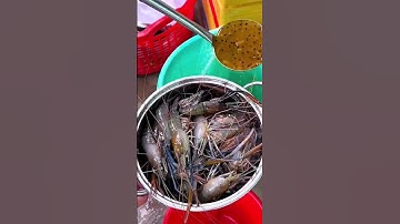 Đặt tiệc đầy tháng tại nhà cho bé  #dattiecngocthuan #ngocthuan24hh #dattiectrongoi