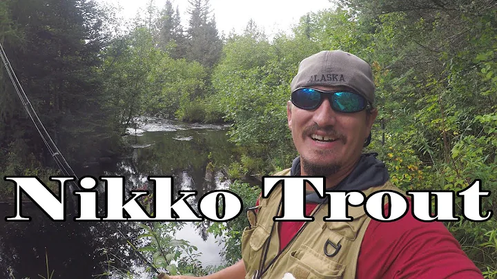Nikko Stonefly, Mayfly, & Caddisfly | Native Brook...