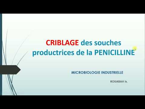 Vidéo: Criblage De Gènes Codant Pour Les Facteurs D'adhésion Et La Production De Biofilm Dans Des Souches De Staphylococcus Aureus Résistantes à La Méthicilline Isolées De Patients P