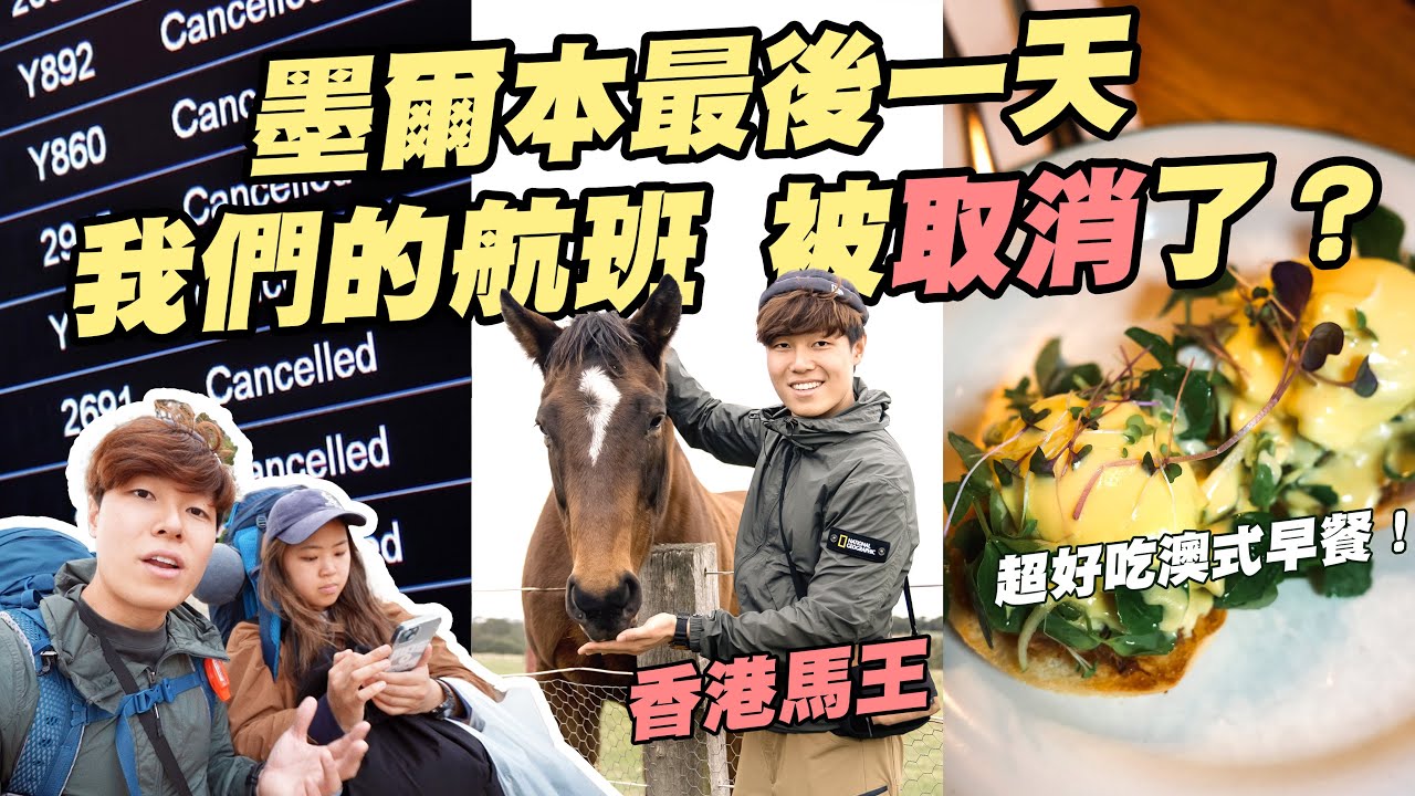 【滯留】航班取消... 必食澳式早餐 | 探訪「移民」澳州的香港馬王 |  Living Legends | 18 days in Australia Day 11 @momokwokMMK
