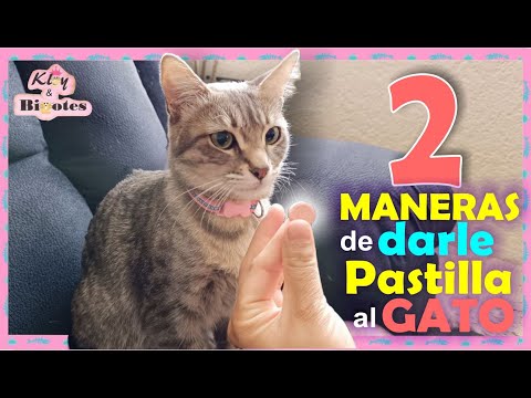 CEPILLO QUITA PELOS AUTOLIMPIABLE  PONDREMOS A PRUEBA DE GATOS CON NUESTRO  GATO Y PERRO 