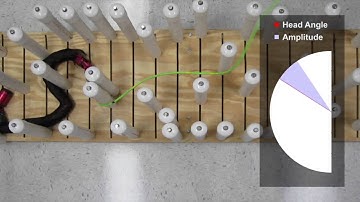 ICRA 2014 - Torque Control Strategies for Snake Robots