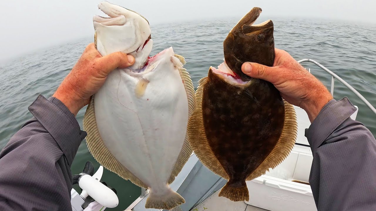 Late Rally of Quality Ocean Fluke Fills the Cooler!