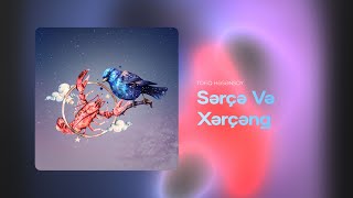 Tofiq Həsənsoy - Sərçə Və Xərçəng (Rəsmi)