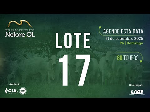 LOTE 17 V91381 - 19º Leilão de Touros Nelore OL