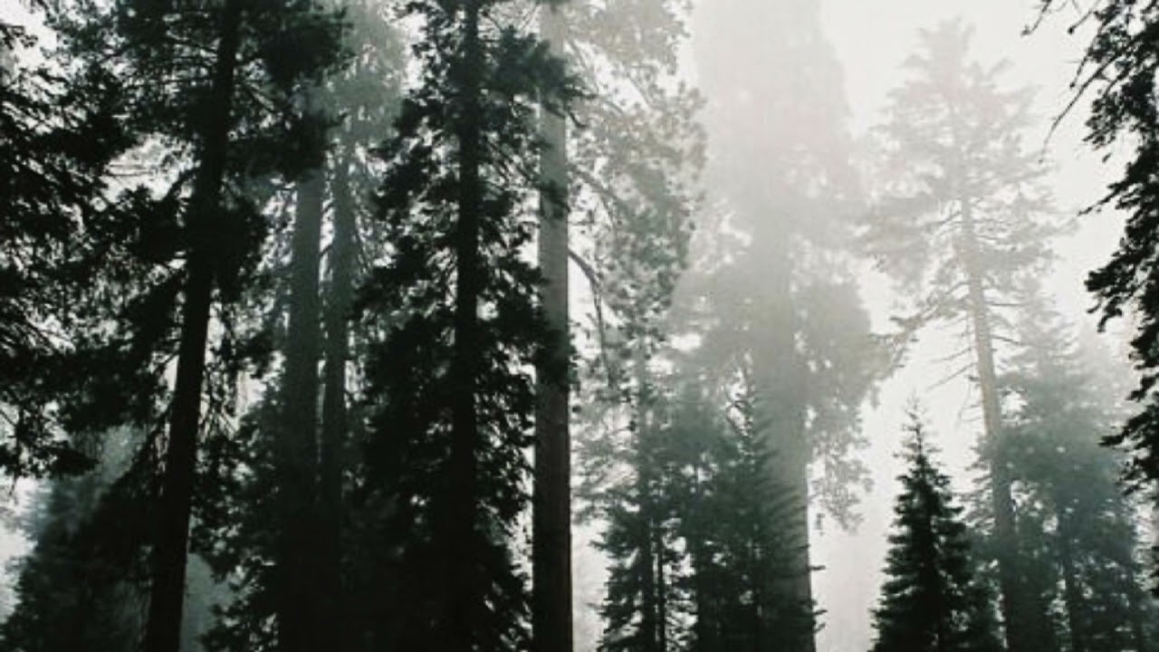 théos, hélix - ghost.