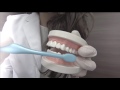 【ASMR】DENTAL CHECKUP RP〜歯科RP