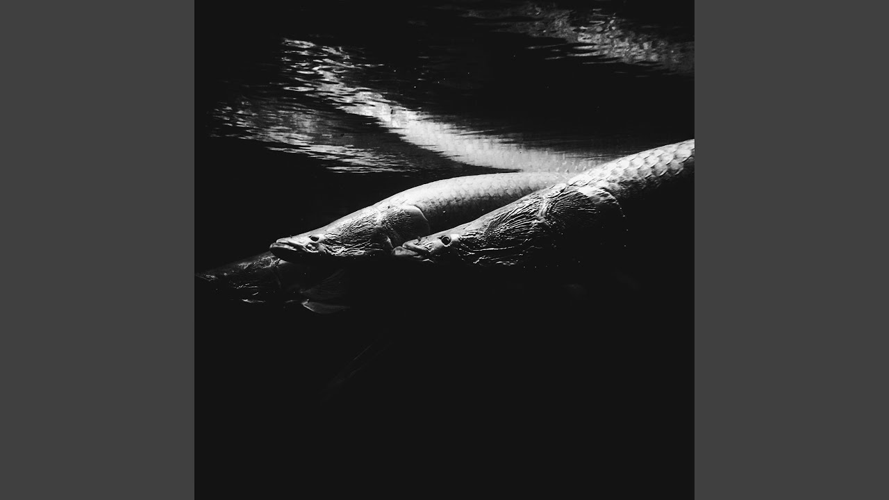 Merope (SVLBRD Ambient Mix) (Remix)