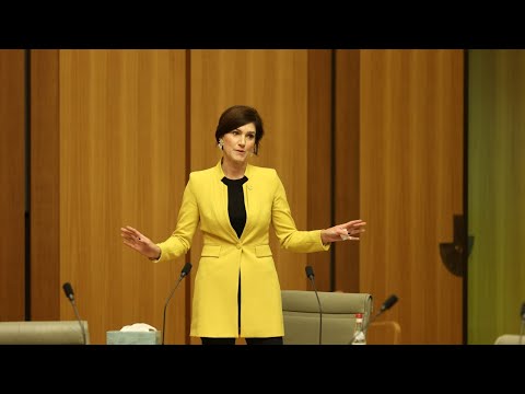 Outgoing MP Nicolle Flint 'not ready to make nice' with Labor