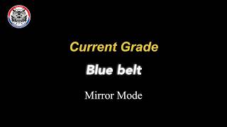 Blue belt/ Pattern/ Poomsae/ Mirror Mode/ ILJIN Taekwondo/ Singapore Taekwondo Federation