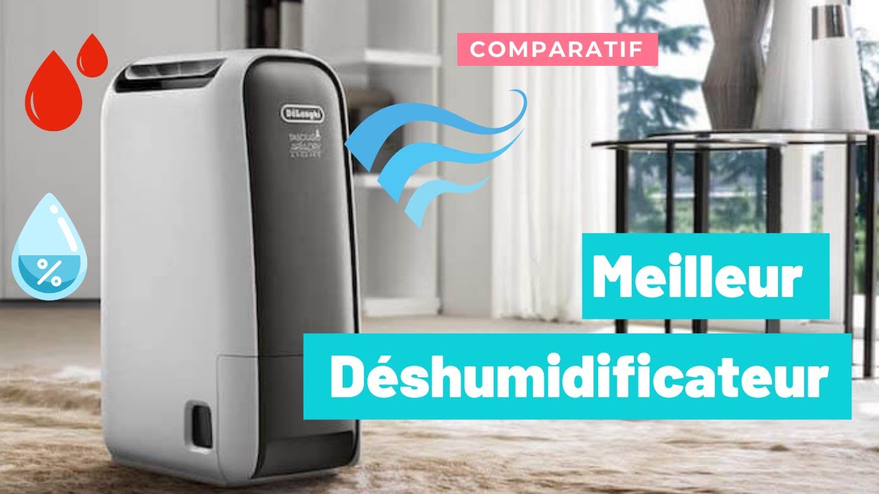 Déshumidificateur DeLonghi DD230P : Test & Avis 