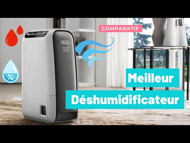 DELONGHI Déshumidificateur DD230P moins cher 