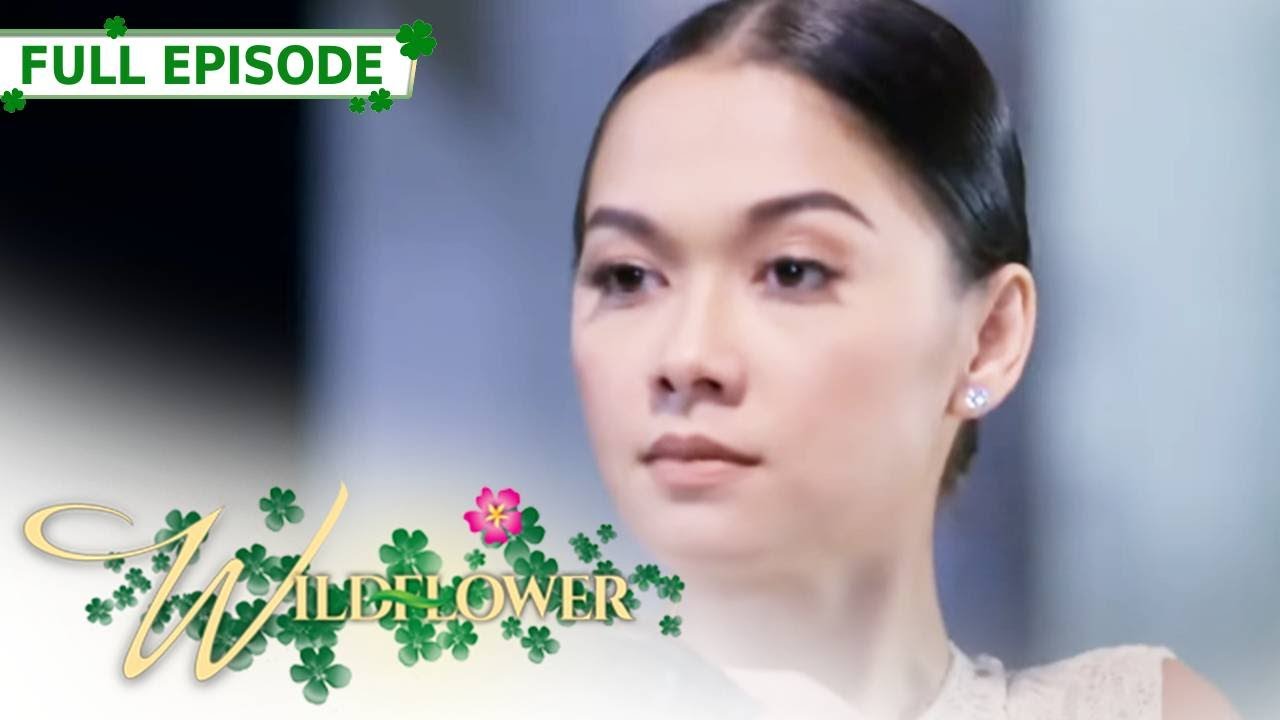 ENG SUB Ep 202  Wildflower  Maja Salvador Tirso Cruz III Aiko Melendez