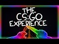 THE CS:GO EXPERIENCE