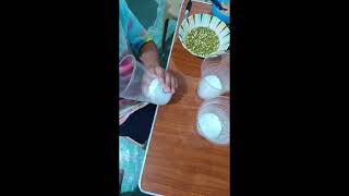 BASIC NEEDS OF PLANTS. MUNG BEAN SEEDS PROCEDURE🤗