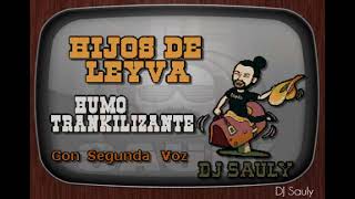 Hijos De Leyva - Humo Trankilizante Con Segunda Voz (Karaoke)