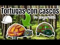 Como hacer tortugas con cascos de seguridad reciclados