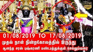 Athi varadar darshan standing position | Athi varadar standing position 17Day Video | Athivaradar