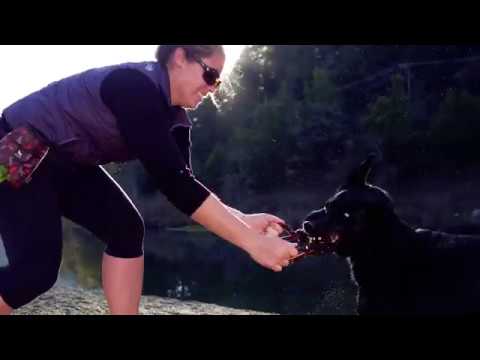 Video: Running Buddy hjälper dig att gå Hands-Free på Dog Walk