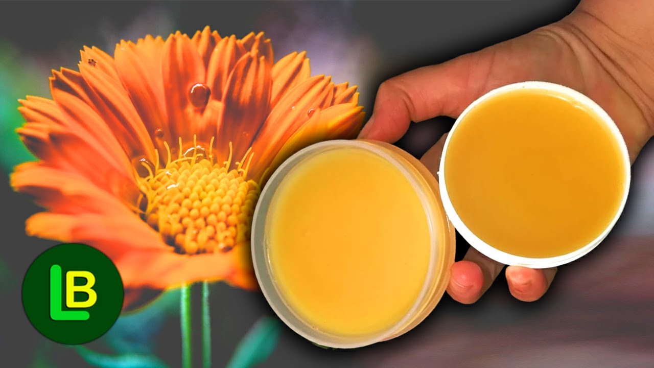 Svaka kuća mora da ga ima. KAKO NAPRAVITI MELEM OD NEVENA i šta sve leči