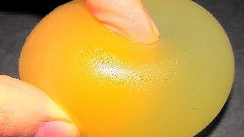 Egg + hydrochloric acid HCl = Bouncing egg