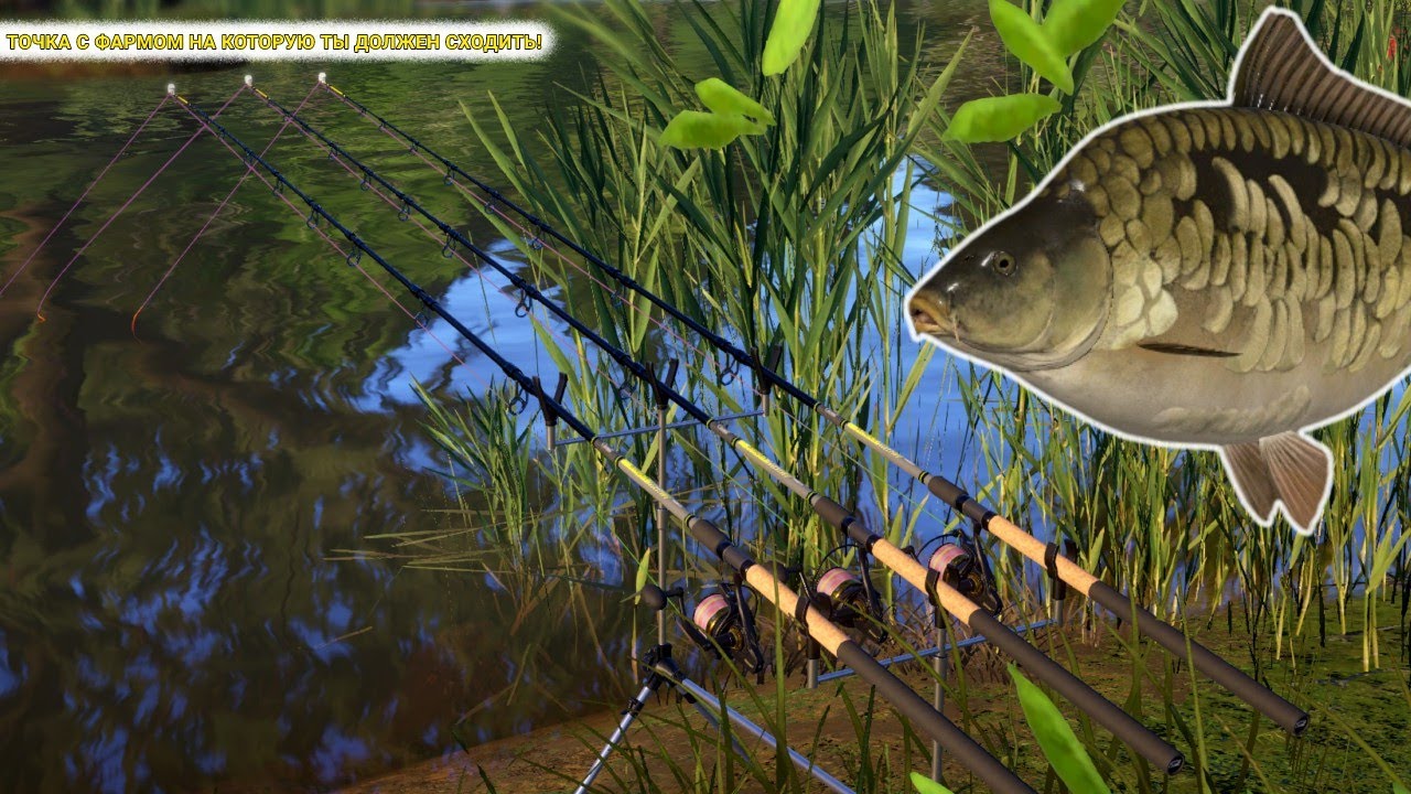 ТОЧКА С ФАРМОМ НА КОТОРУЮ ТЫ ДОЛЖЕН СХОДИТЬ! ИДИ СЮДА ПОКА НЕ ПОМЕНЯЛАСЬ ТЕМПЕРАТУРА! 