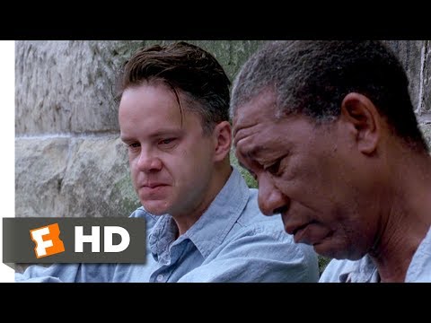 Still from the movie The Shawshank Redemption